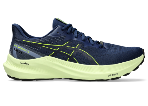 Asics GT 2000 12 GTX (1011B687.400) blau