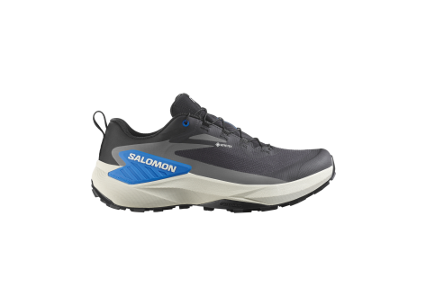Salomon Genesis GTX Tex Gore (L47807800) schwarz