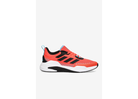adidas Trainer V (H06207) rot