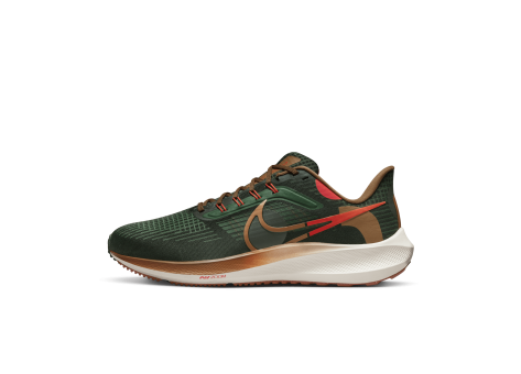 Nike Air Zoom Pegasus 39 A.I.R. Hola Lou (DO9500-300) grün