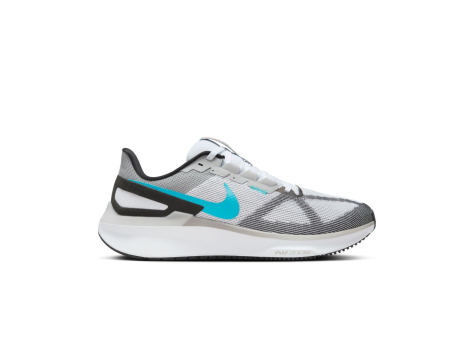 Nike Structure 25 (DJ7883-109) grau