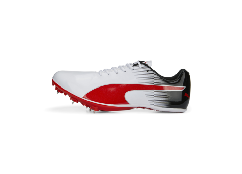PUMA evoSpeed Sprint 14 (377001-03) bunt