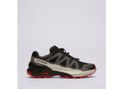 Salomon SPEEDCROSS PEAK GTX (L47852800) bunt
