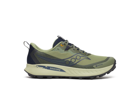 Saucony Peregrine 15 GTX (S20992-162) grün