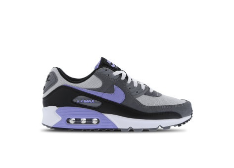 Nike Air Max 90 (DM0029-014) grau