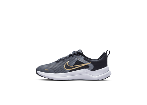 Nike Downshifter 12 (DM4194-005) grau