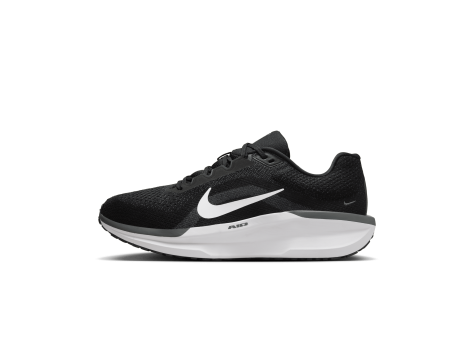 Nike Winflo 11 (FJ9509-001) schwarz