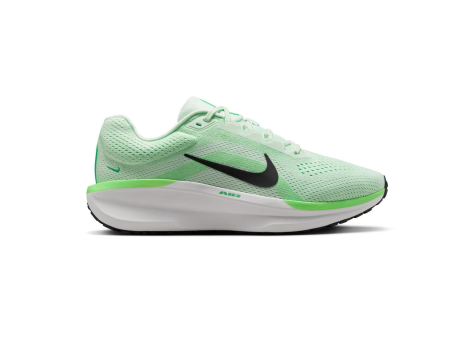 Nike Winflo 11 Air (FJ9509-302) grün