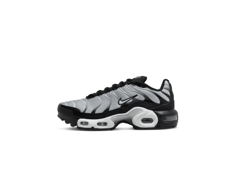 Nike Air Max Plus Metallic Silver GS (CD0609-018) bunt