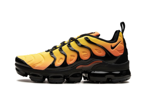 Nike Air VaporMax Plus (924453-006) bunt