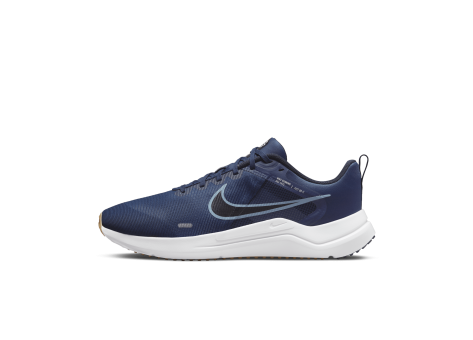 Nike Downshifter 12 (DD9293-400) blau