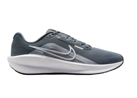 Nike Downshifter 13 (FD6454/010) grau