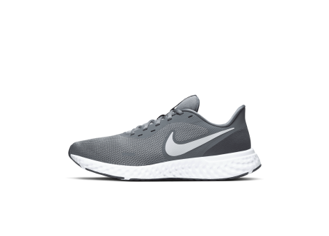 Nike Revolution 5 (BQ3204-005) grau