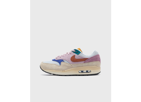 Nike Air Max Tan Lines (FN7200-224) bunt