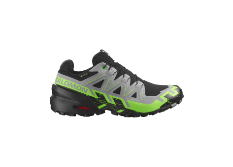 Salomon Speedcross 6 GTX Tex Gore (L47765000) bunt