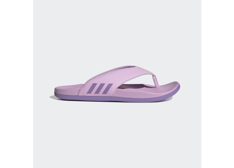 adidas Comfort adilette (HQ6880) lila