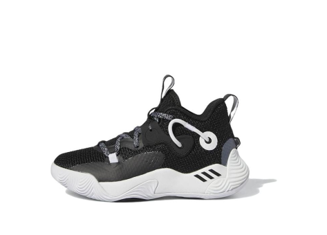 adidas Harden Stepback 3 (GY8646) schwarz