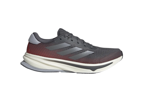 adidas Supernova Rise (IF3016) bunt