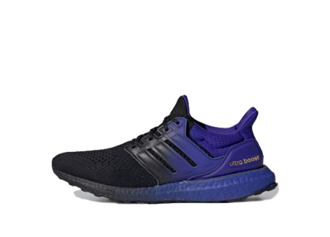 adidas UltraBoost DNA (FU9993) bunt