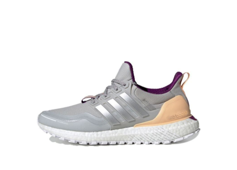adidas UltraBoost Guard Glow (FW7761) grau