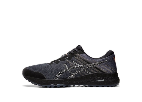 Asics Alpine XT 2 (1011A564-020) grau