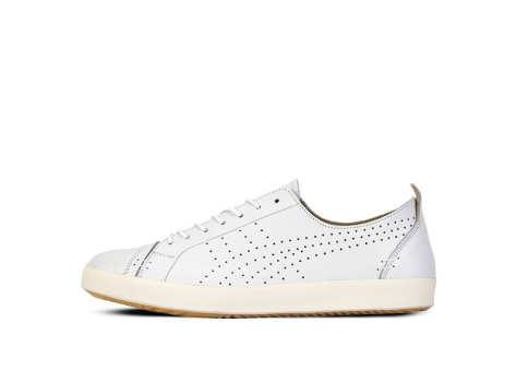 Asics Colesne Lo (1183A426-100) weiss