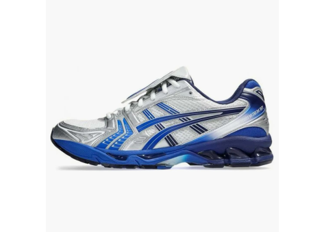 Asics Gel Kayano 14 Polar Shade The Museum Visitor (1203A528 020) bunt