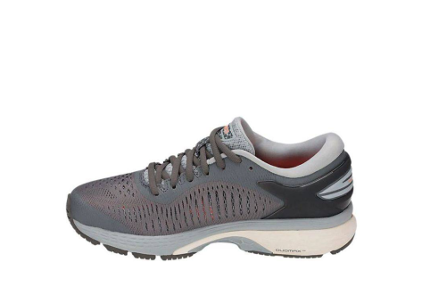 Asics Gel Kayano 25 Carbon (1012A026-020) grau