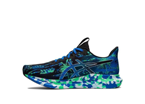Asics Noosa Tri 14 (1011B368-002) bunt