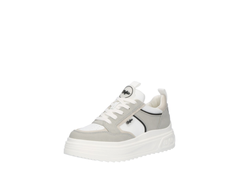 Buffalo Vectra (1636124) bunt