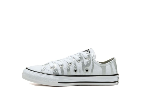 Converse Archive Zebra Chuck Taylor All Star Silver (667604F) weiss