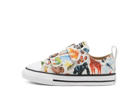 Converse Chuck Taylor All Star 2v Little Multi (768463C) bunt