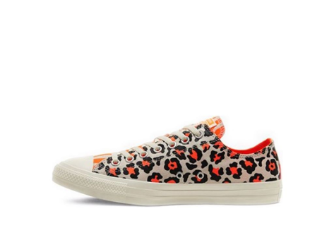 Converse Chuck Taylor All Star Leopard (167631C) bunt
