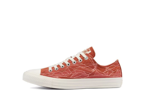 Converse Chuck Taylor All Star Low Summer Daze (170676F) orange