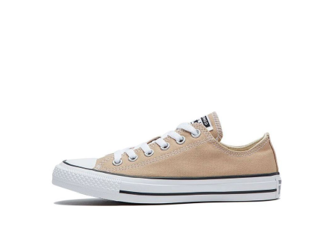 Converse Ox (164938C) beige