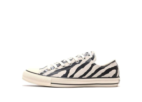 Converse Suede All Star US Zebura OX (31306860) bunt