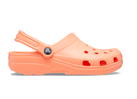 Crocs Classic Clog (10001-83E) pink