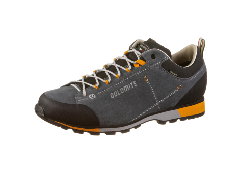 Dolomite 54 Hike Low Evo GORE TEX GTX (289208-1076) grau