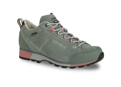 Dolomite 54 Hike Low Evo GTX (289210-1347) grün
