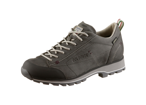 Dolomite 54 Low FG GTX (268010;1076) grau