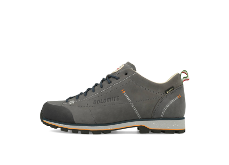 Dolomite 54 Low Fg Evo GTX (292530-1430) grau