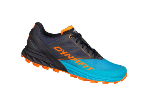 Dynafit Alpine (08-0000064065-8208) blau