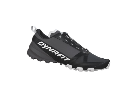 Dynafit Traverse GTX (08-0000064080-0731) schwarz