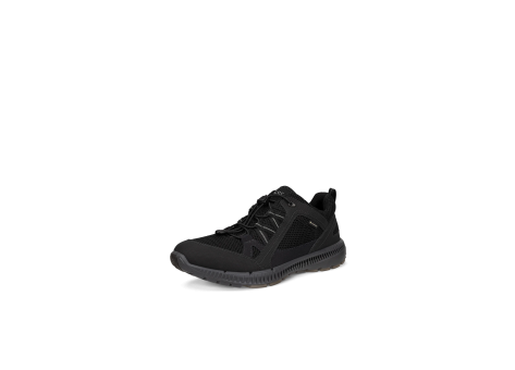Ecco Terracruise II M GTX TEX (843064-51052) schwarz