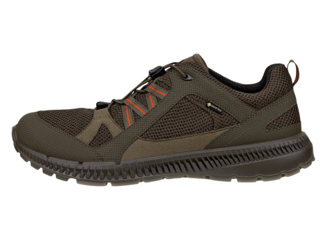 Ecco Terracruise ll TEX GTX 2025 (843064-55894) braun
