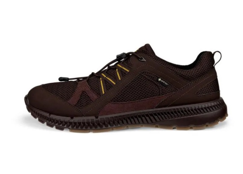 Ecco Terracruise ll TEX GTX 2025 (843064-58290) braun