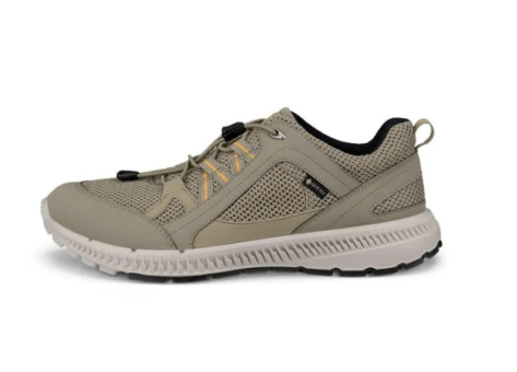 Ecco Terracruise ll W TEX GTX (843063-57447) grün