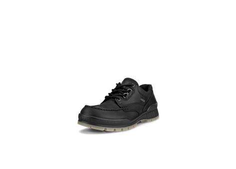 Ecco Track 25 GTX (831714-51052) schwarz