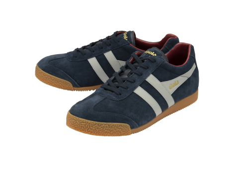 Gola Harrier (CMA192-EL) bunt