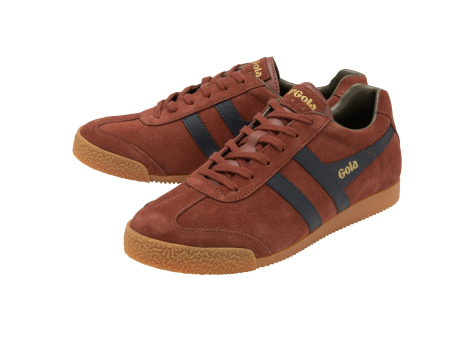 Gola Harrier (CMA192-ZU) braun